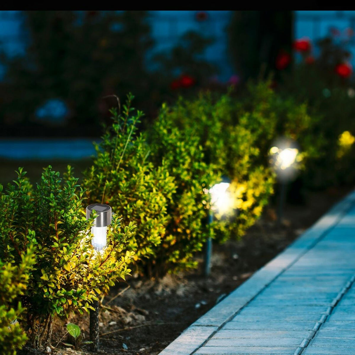 Juego 12 luces solares LED exterior inox blanco frío H36 (4)