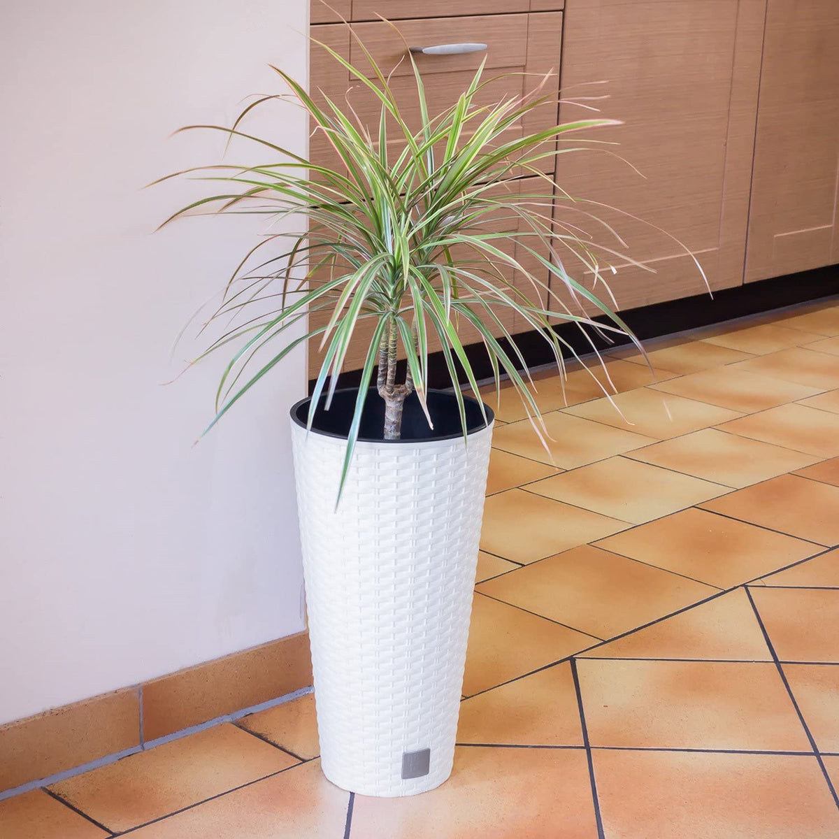 Maceta Rato 27L blanco 30x30x57cm + bola boj Ø36cm (10)