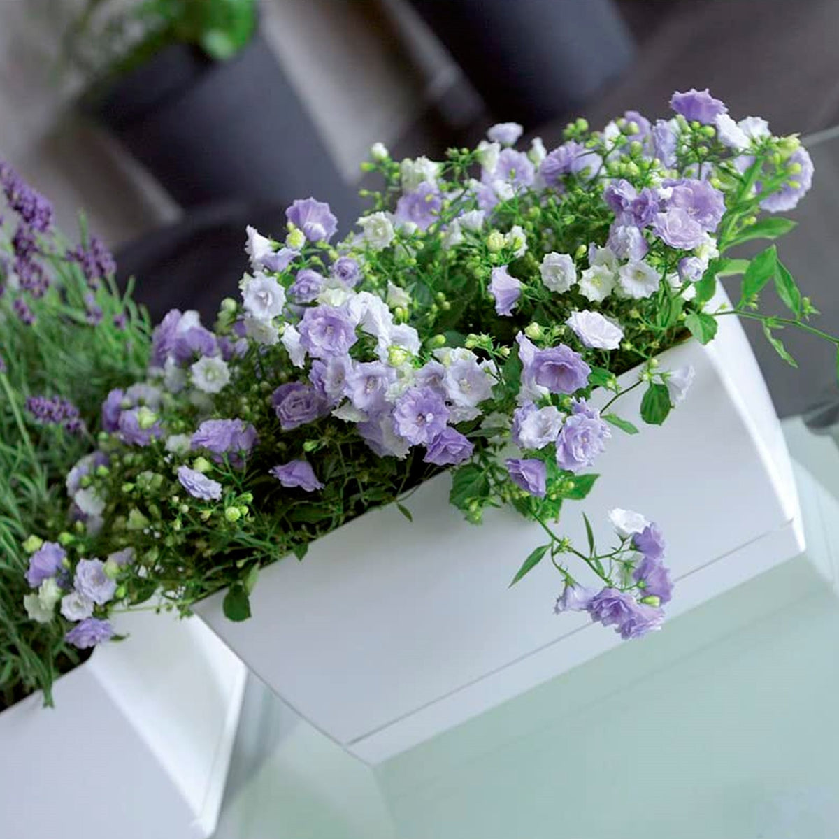 Pack 2 jardineras plástico Coubi Case blanco 24x12x11 cm (5)