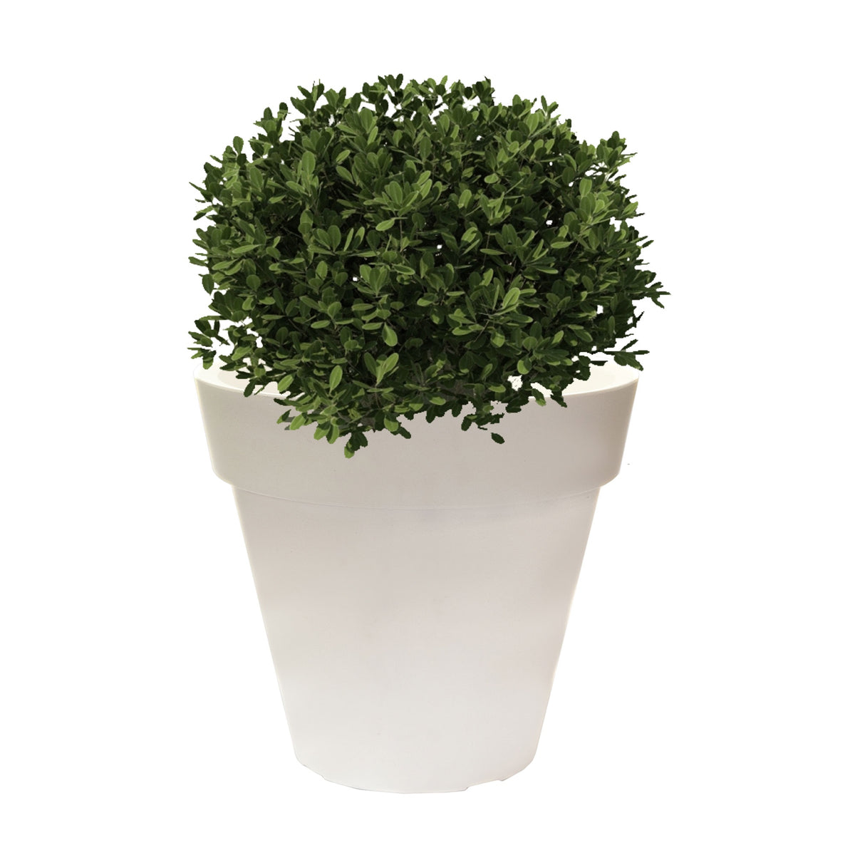 Macetero polietileno blanco Ø35x30 cm (3)
