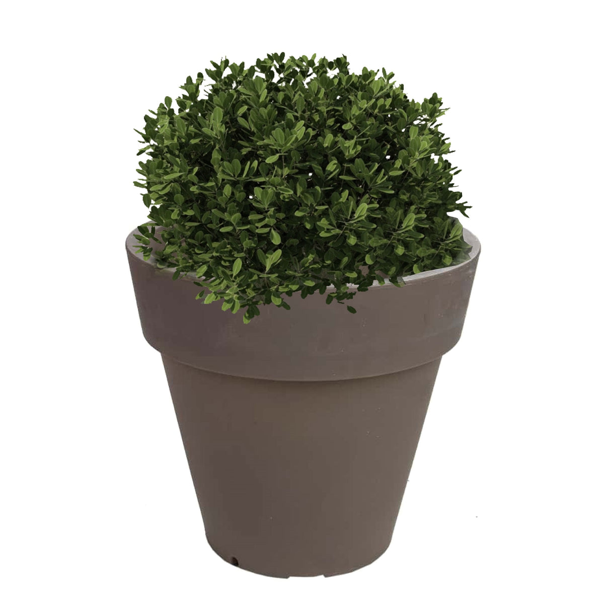Macetero polietileno topo Ø35x30 cm (3)