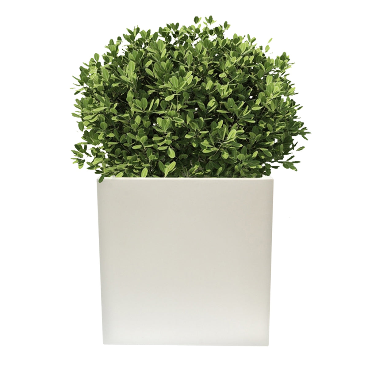 Macetero polietileno blanco Ø40x40 cm (3)