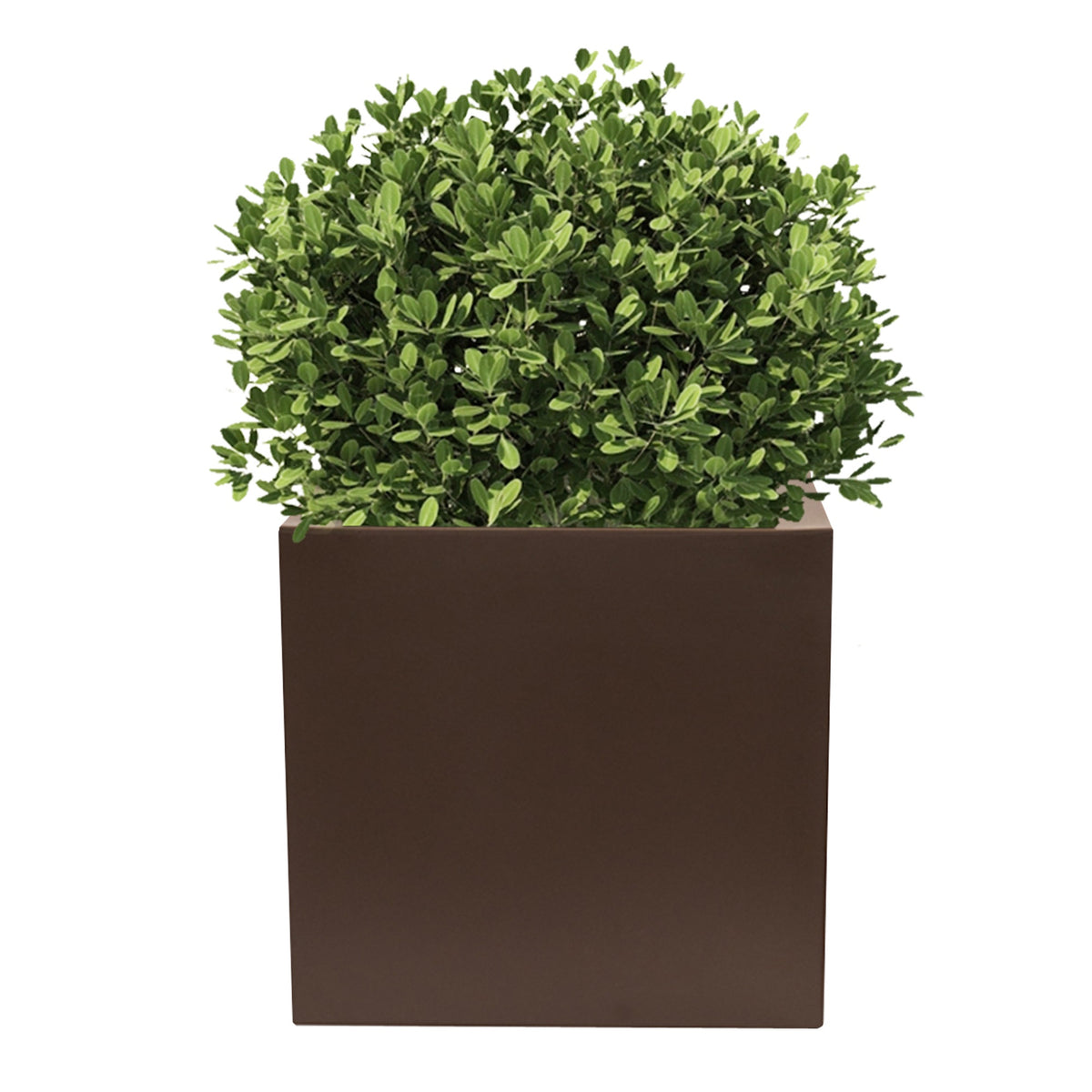 Macetero polietileno bronce Ø40x40 cm (3)
