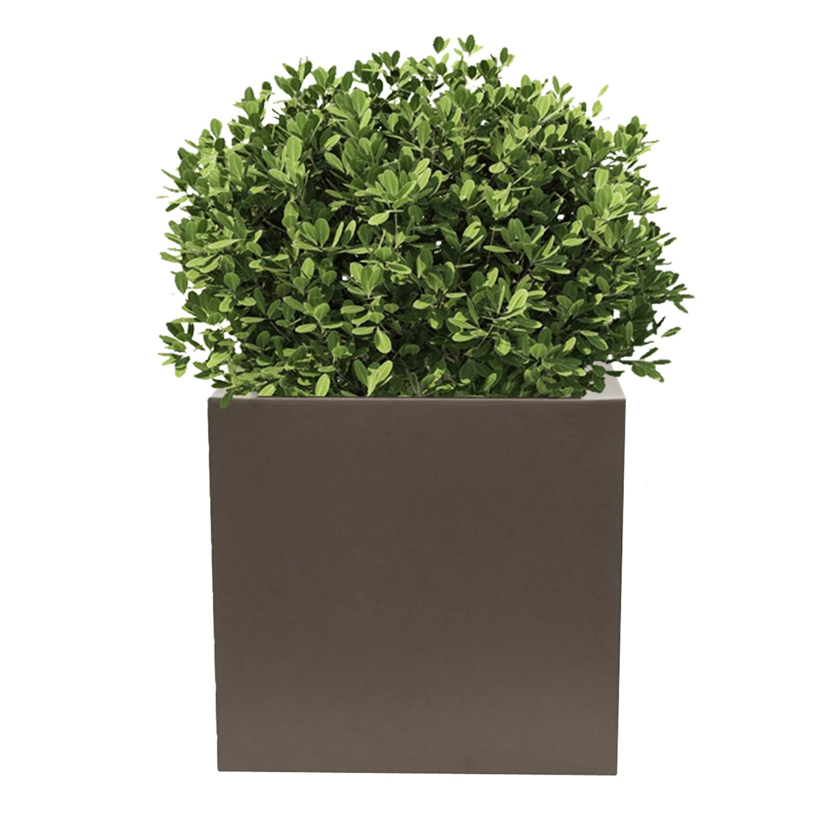 Macetero polietileno topo Ø40x40 cm (3)