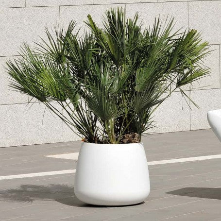 Macetero polietileno blanco 41x35 cm (2)