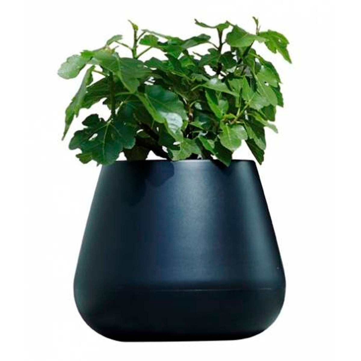 Macetero polietileno antracita 41x35 cm (2)