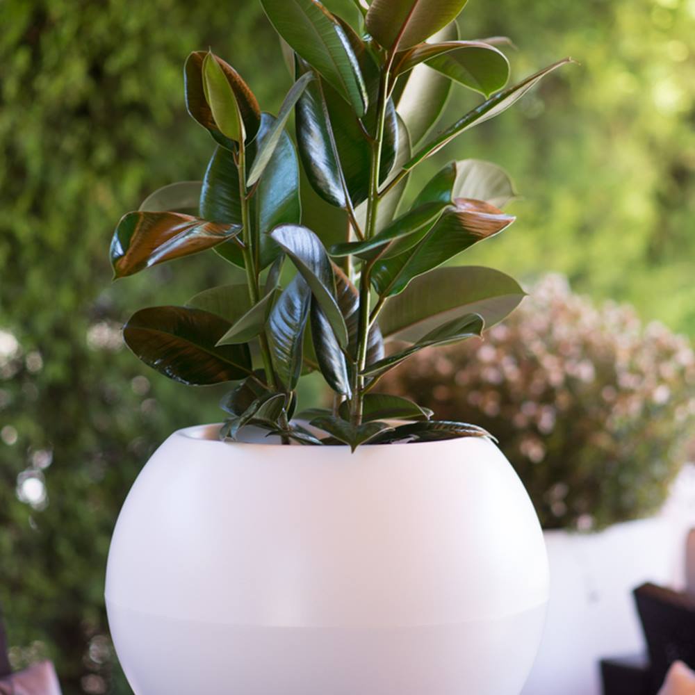 Maceta omega plástico Ø48x42cm blanco (5)