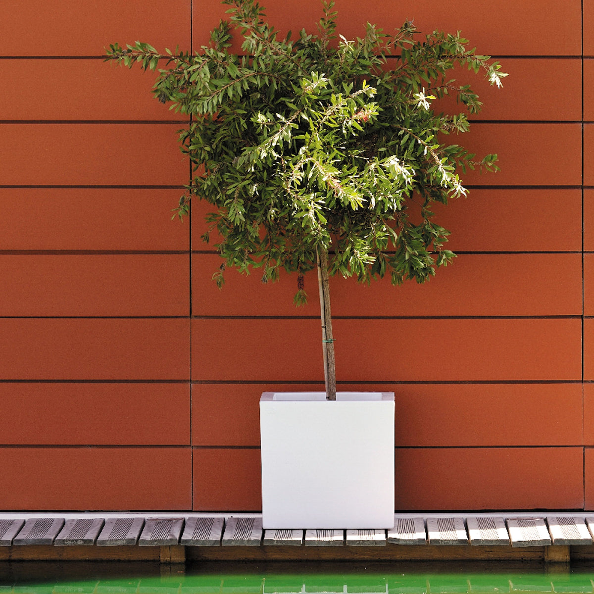 Maceta Cubo Dan-i 18L blanca (3)