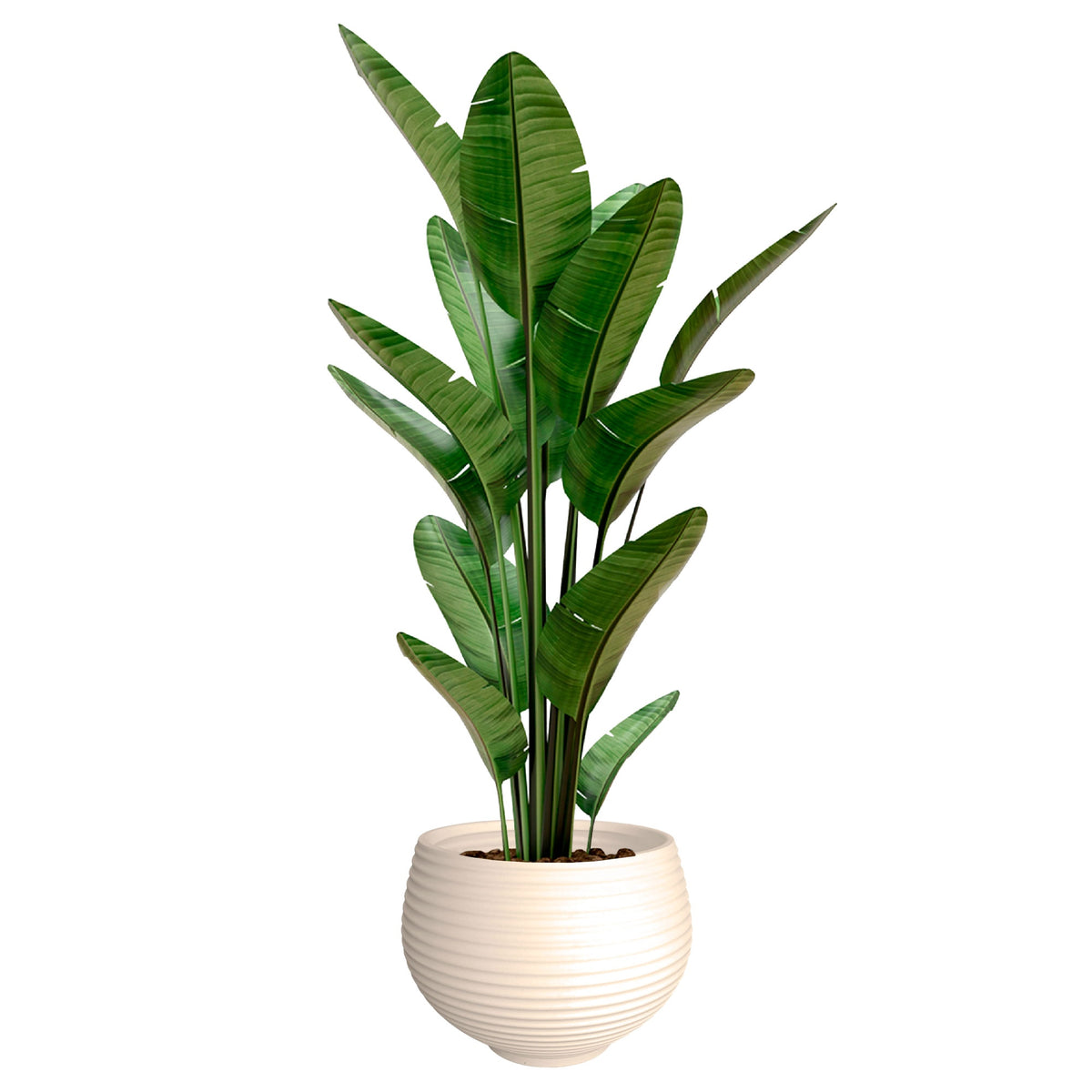 Maceta Zafira Ø32 cm crema (3)