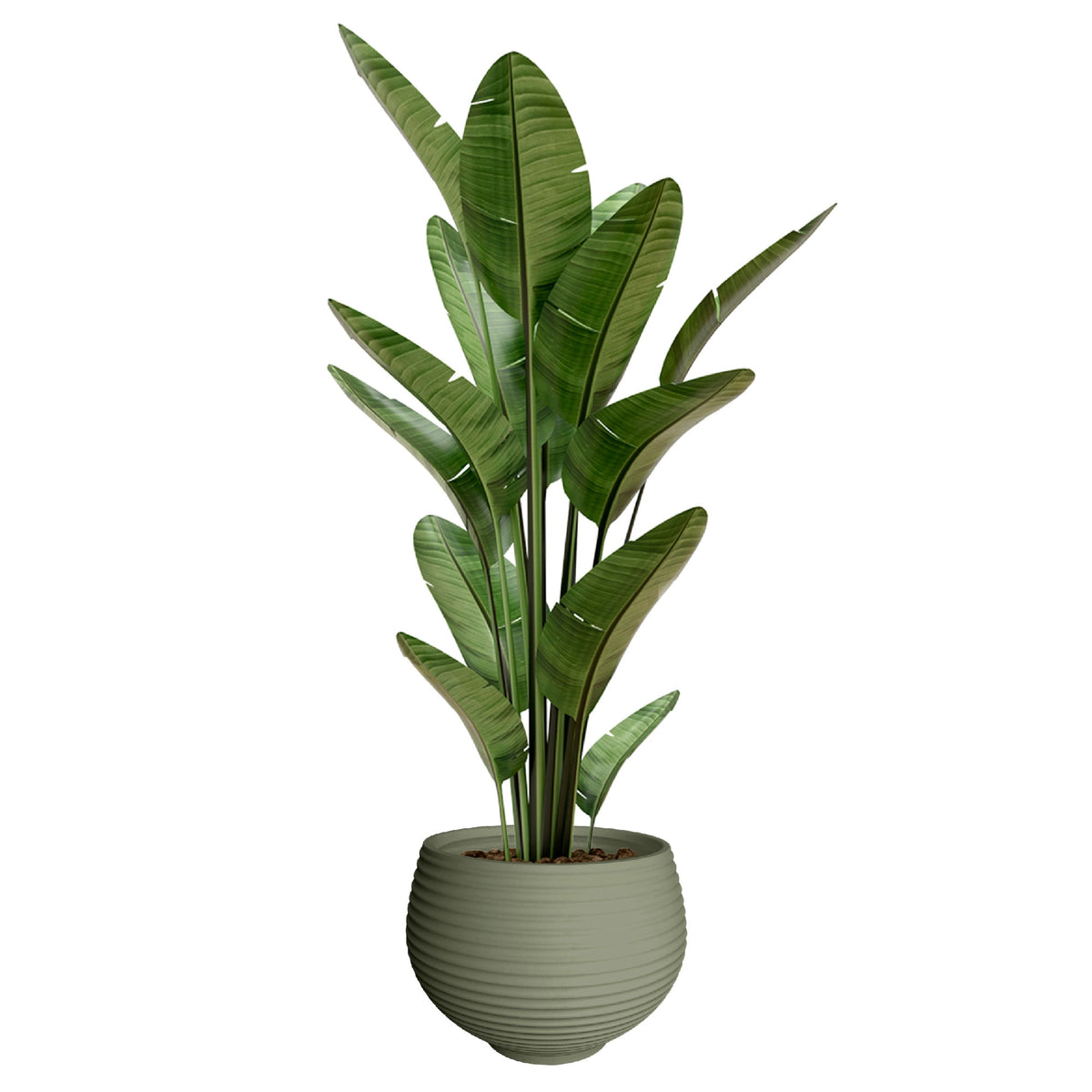 Maceta Zafira Ø32 cm verde (3)