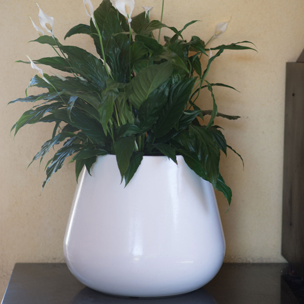Maceta Adam Ø41x35 cm blanca (3)