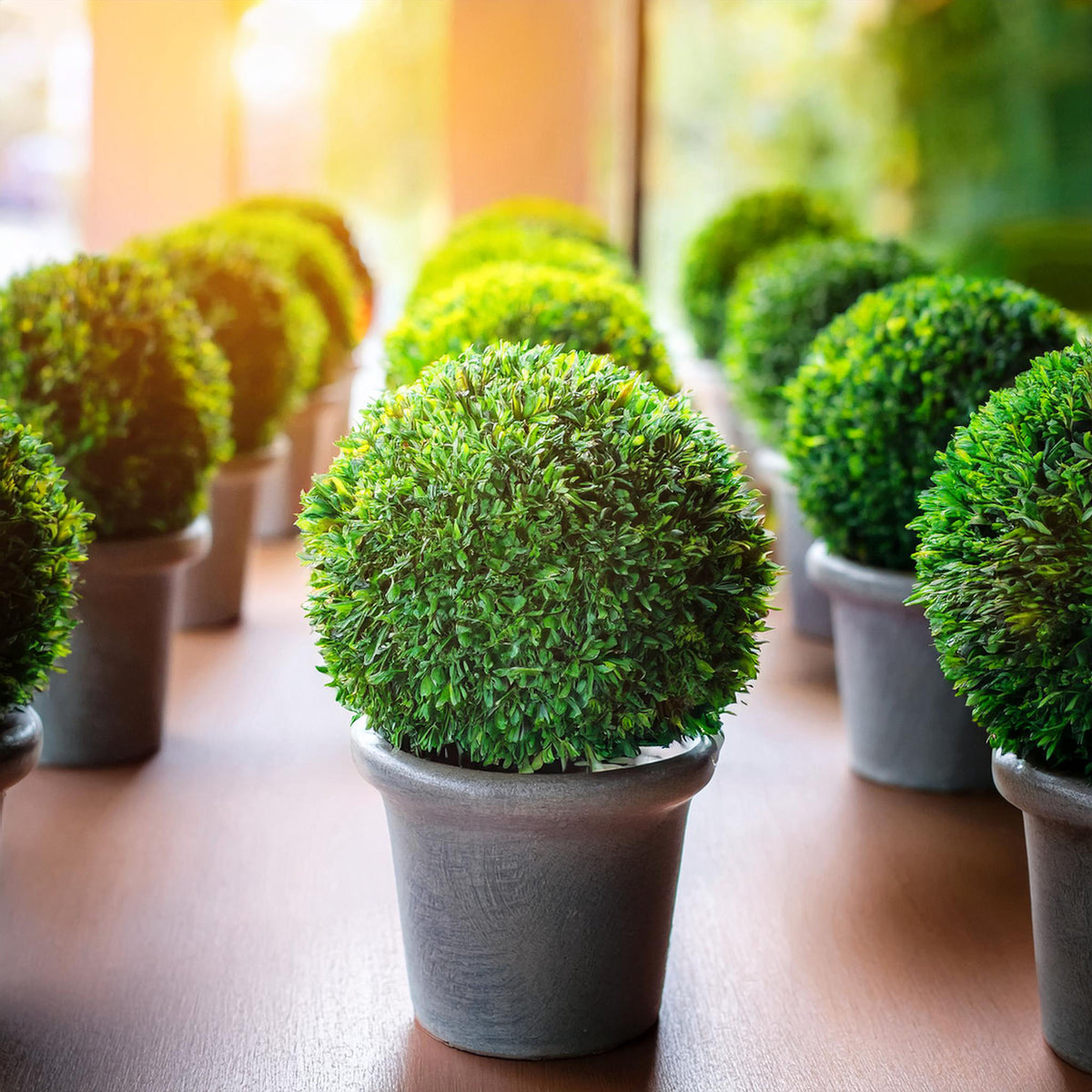 Bola de boj decorativa artificial Ø36cm (4)