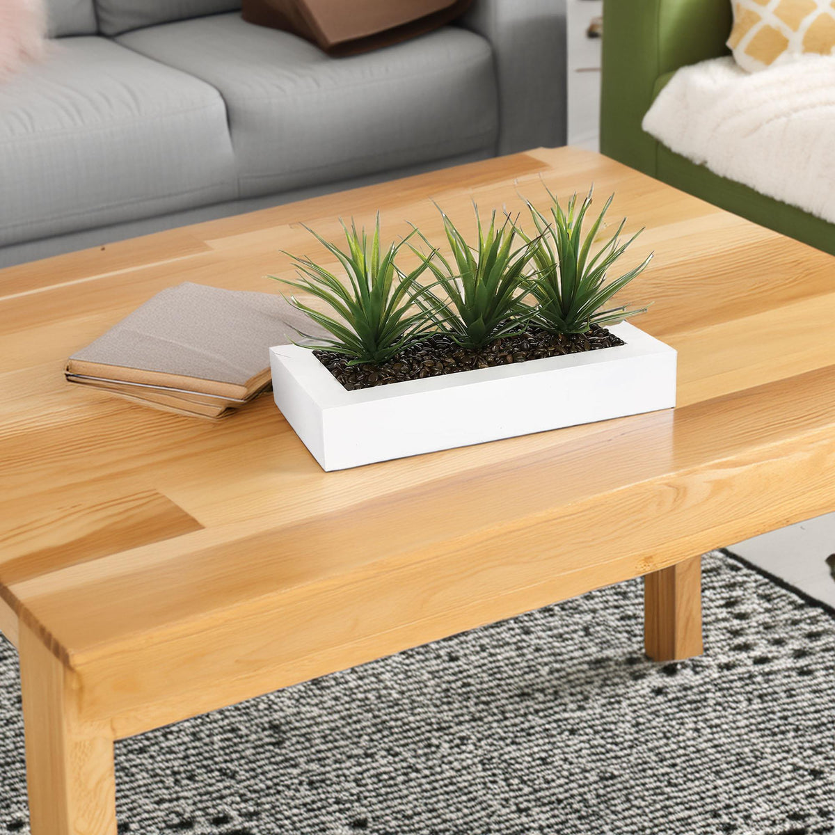 Centro de mesa decorativo 3 plantas Aloe Vera H.17cm (3)