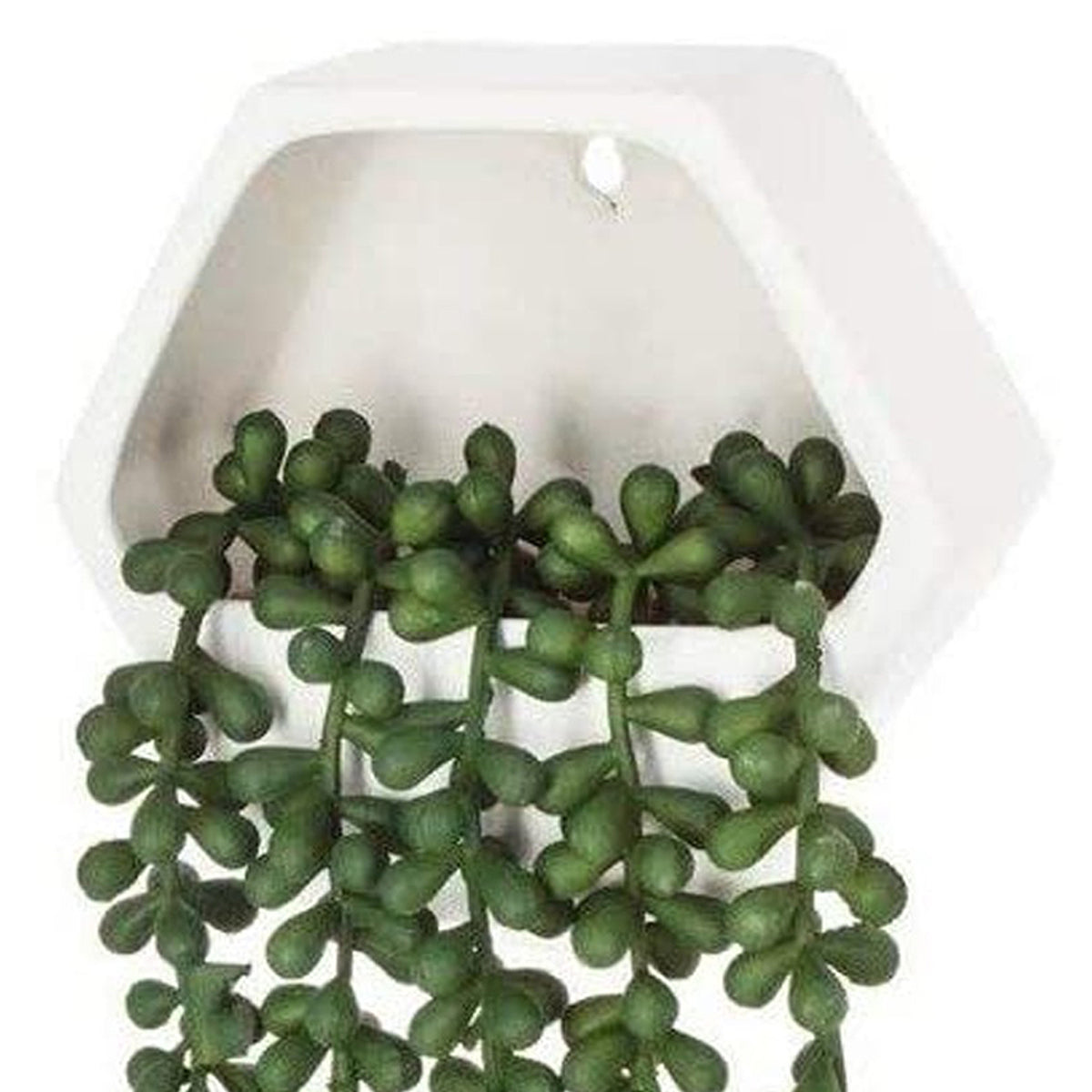 Planta colgante de pared artificial (6)