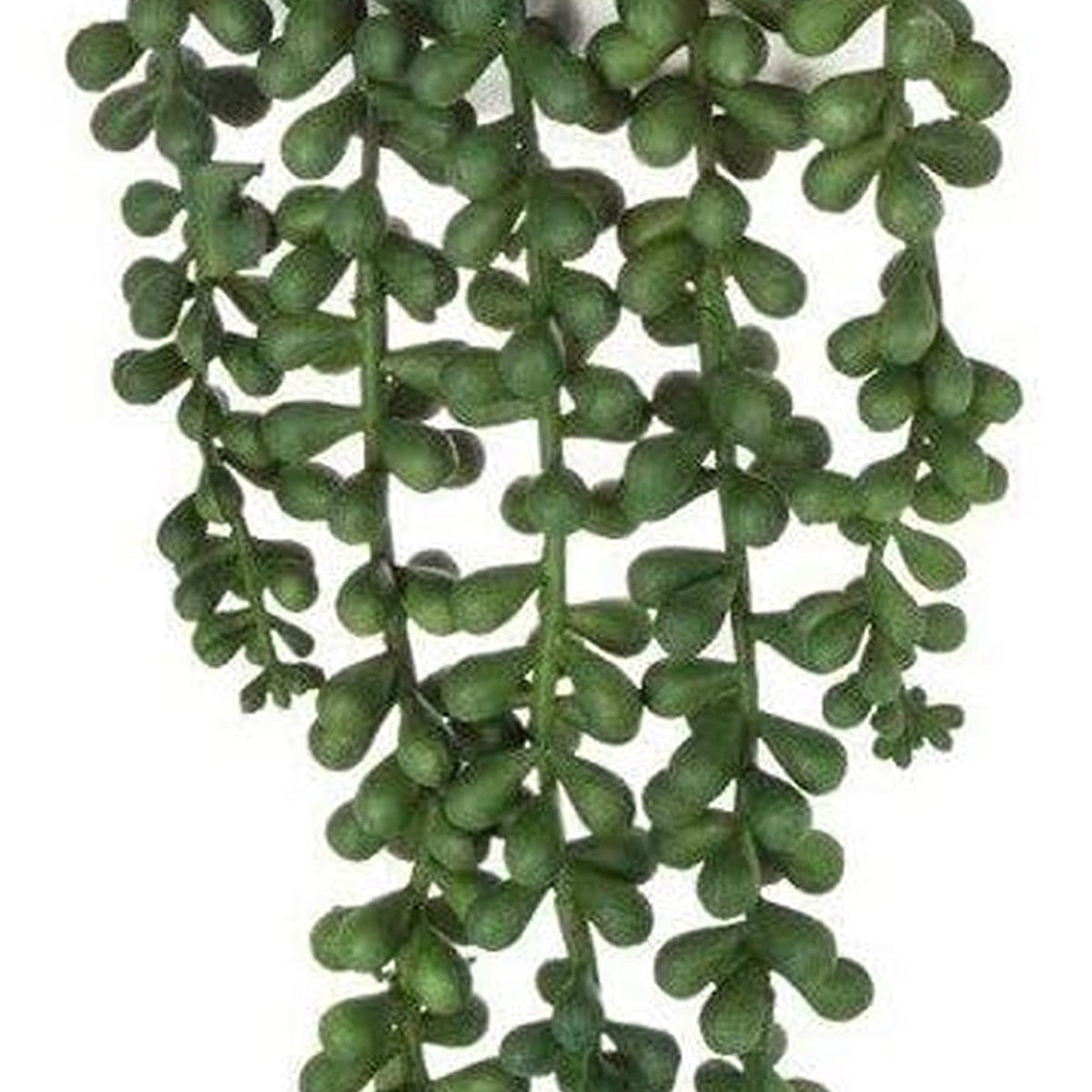 Planta colgante de pared artificial (7)