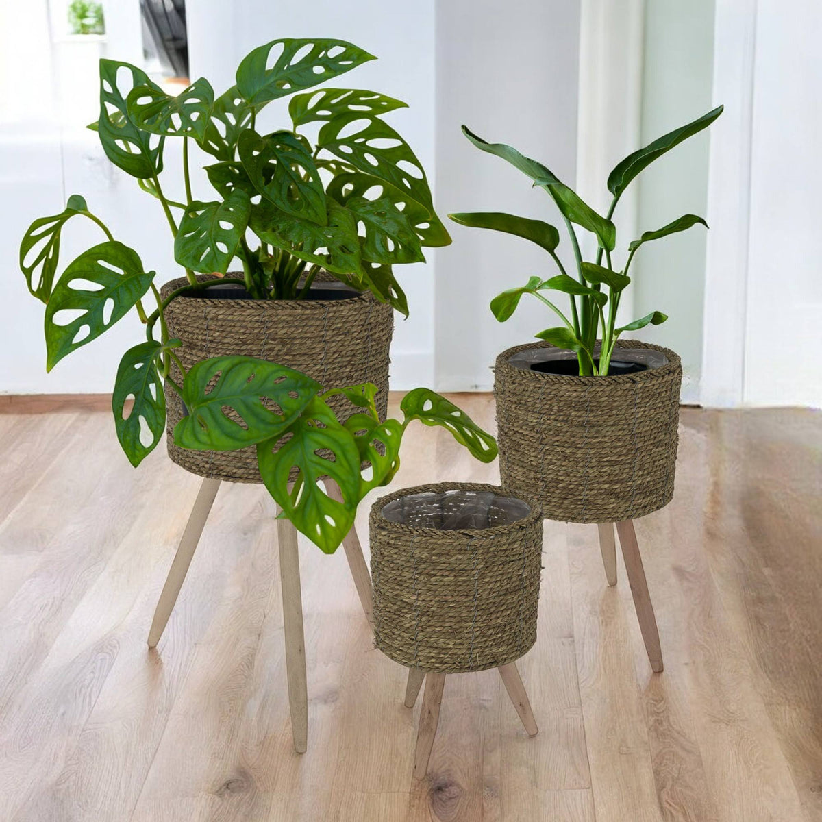 Set 3 maceteros Ø22 Ø26 Ø30 cm (6)