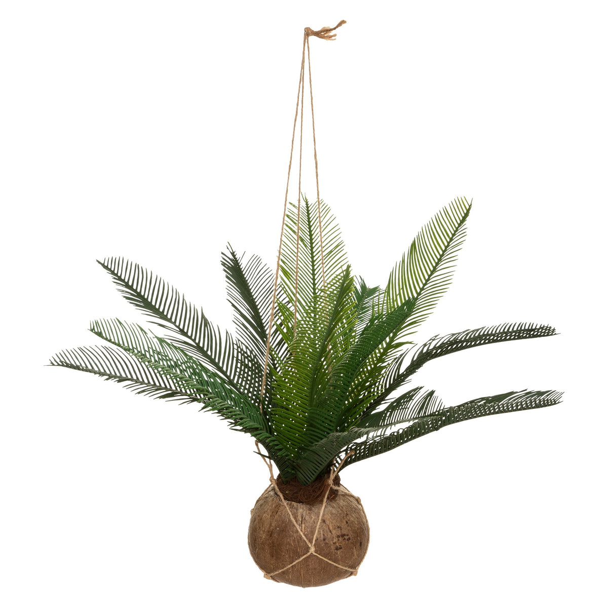 Olla de coco de palma Cuba H.50cm