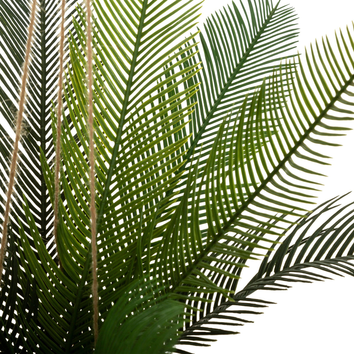 Olla de coco de palma Cuba H.50cm (5)