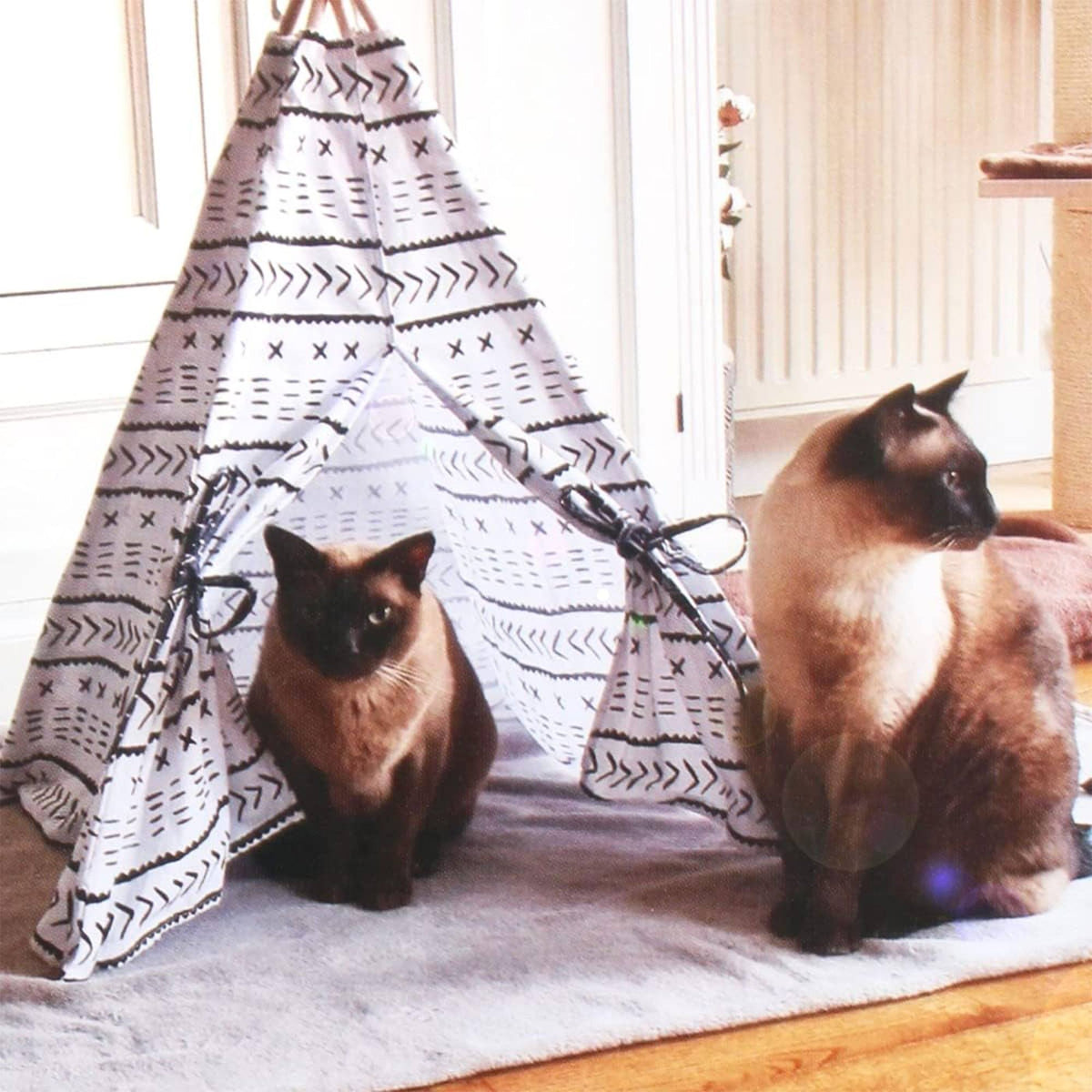 Carpa tipi para mascotas de lona 56x56x74cm (4)