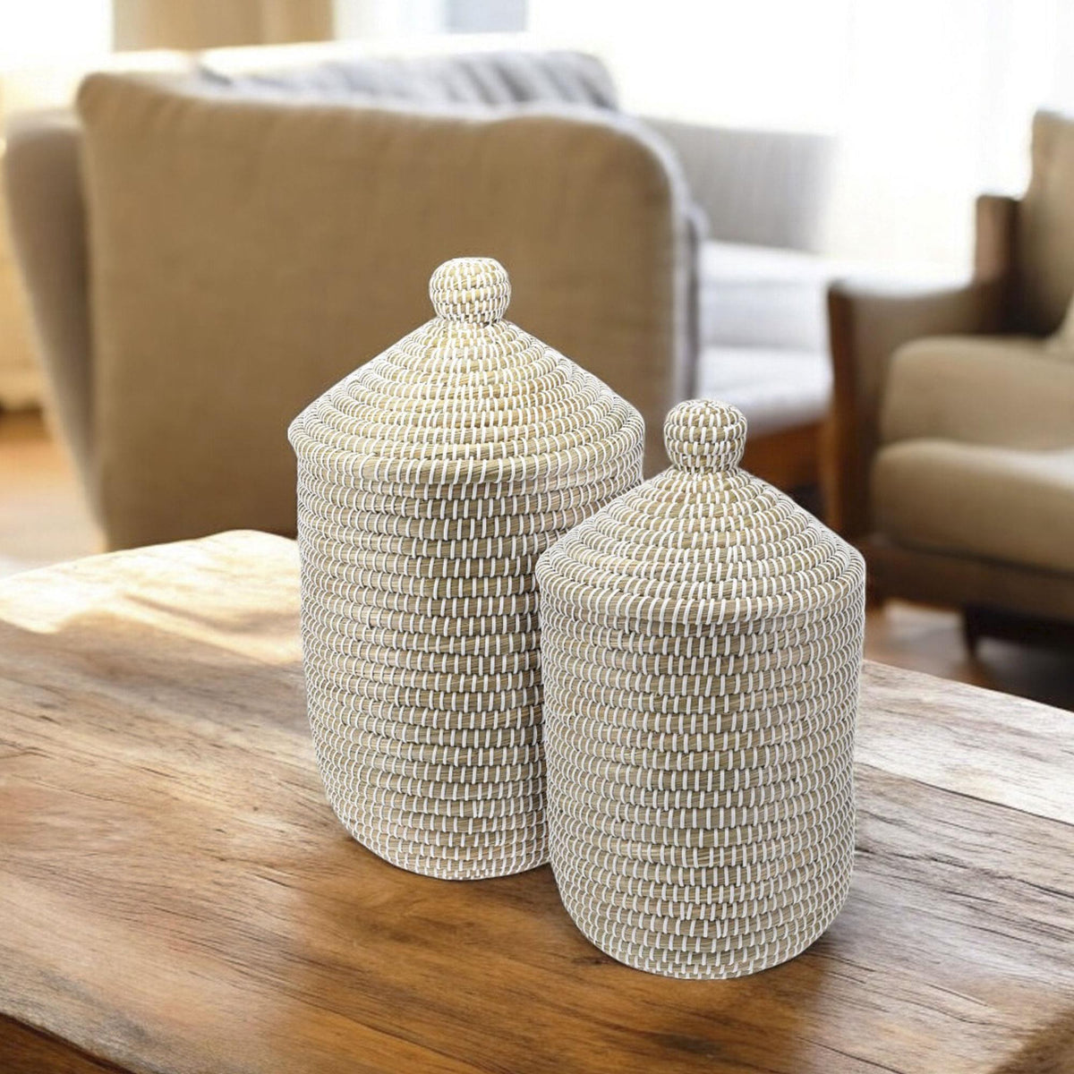 Conjunto de 2 cestos para ropa con tapa Ø27cm Ø33,5cm (3)