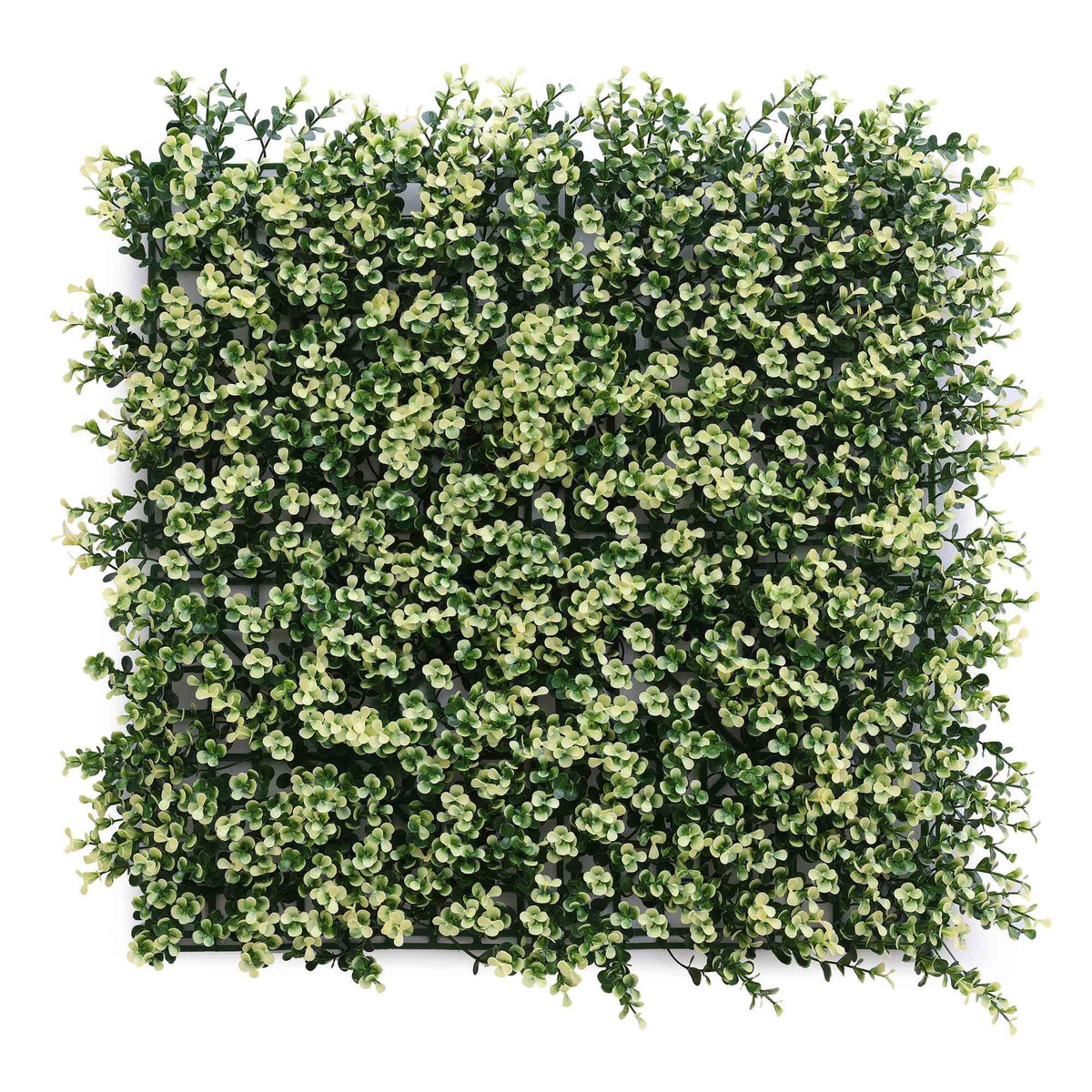 Panel jardín vertical artificial seto 100x100cm verde y blanco