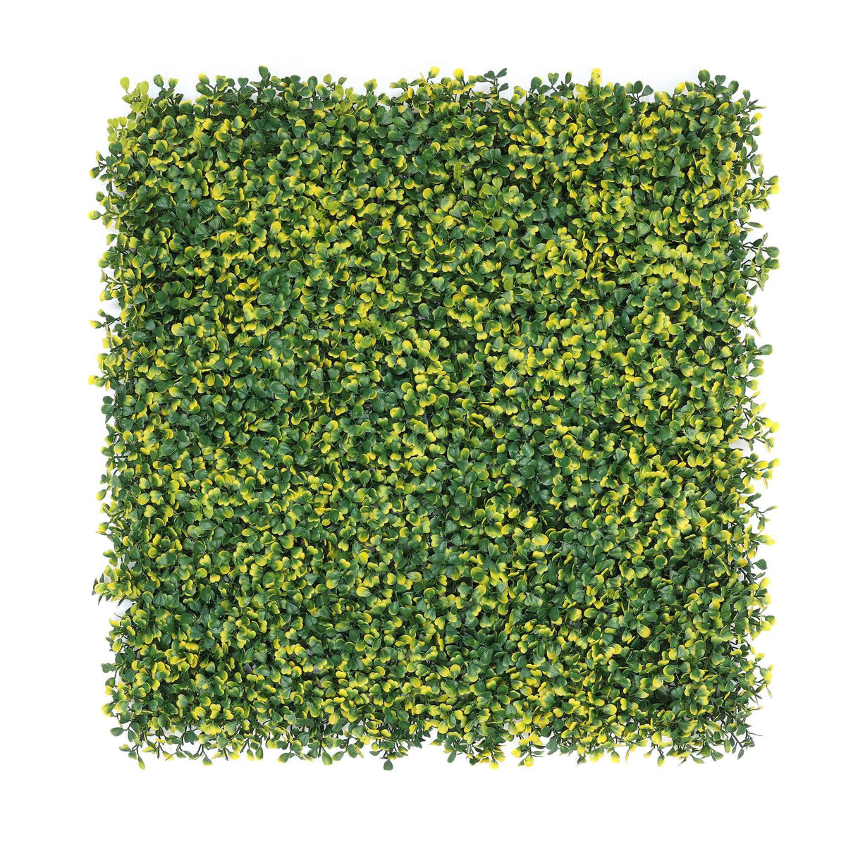 Panel jardín vertical artificial seto 100x100cm hojas verdes