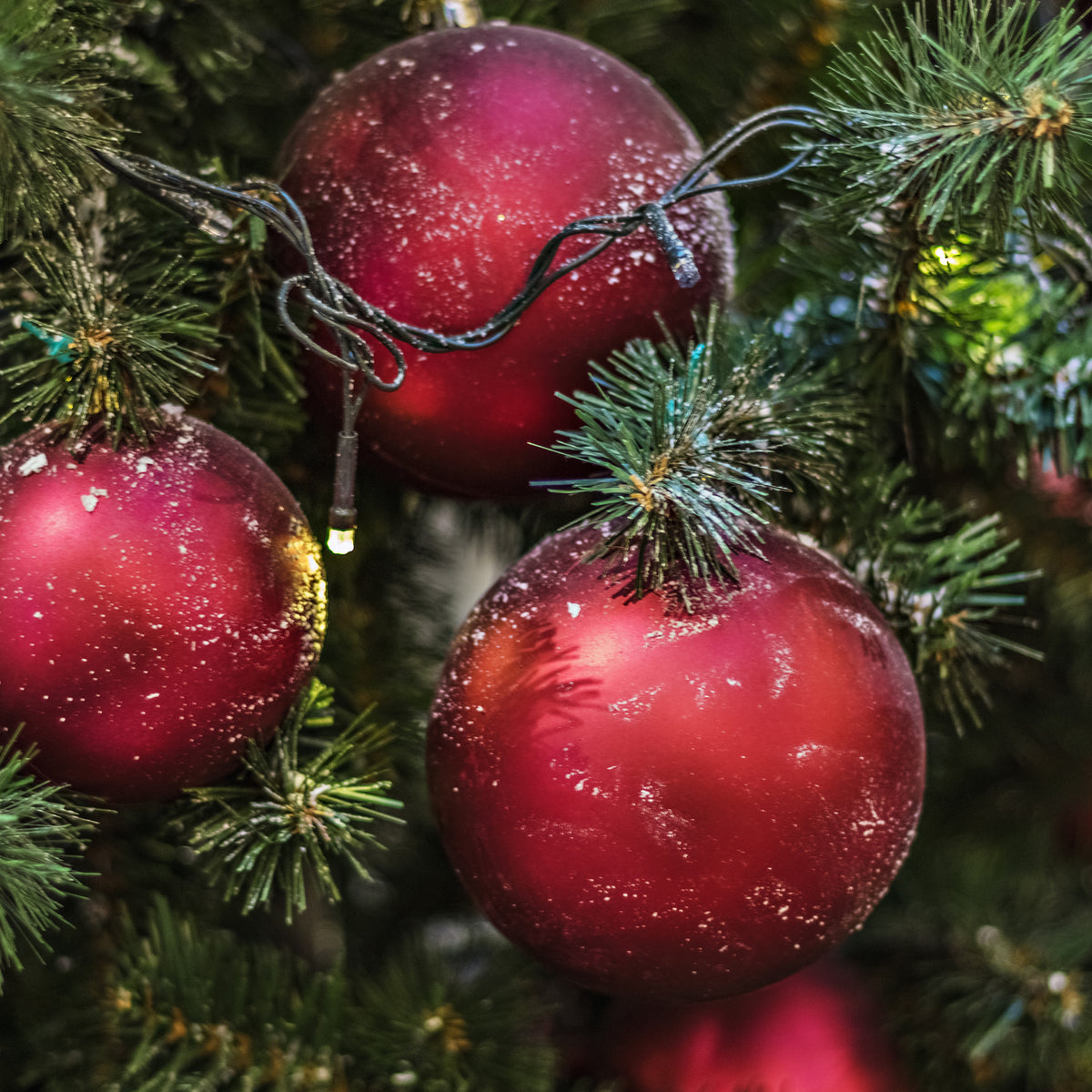 100 bolas de Navidad color rojo en tubo acabados variados (4)