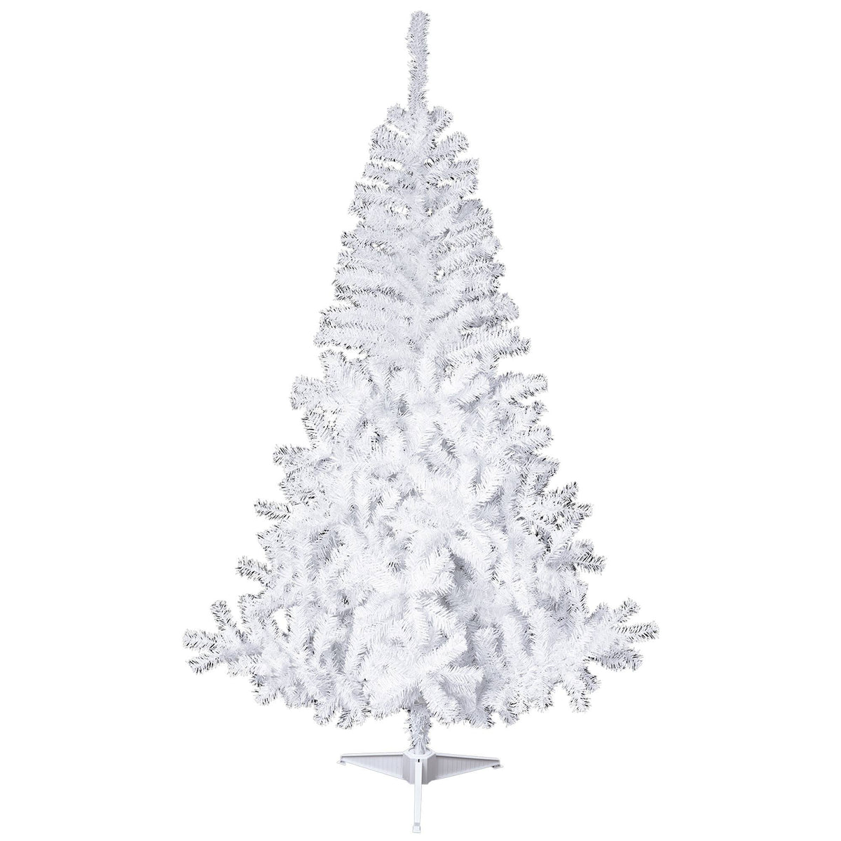 Abeto blanco H.150cm