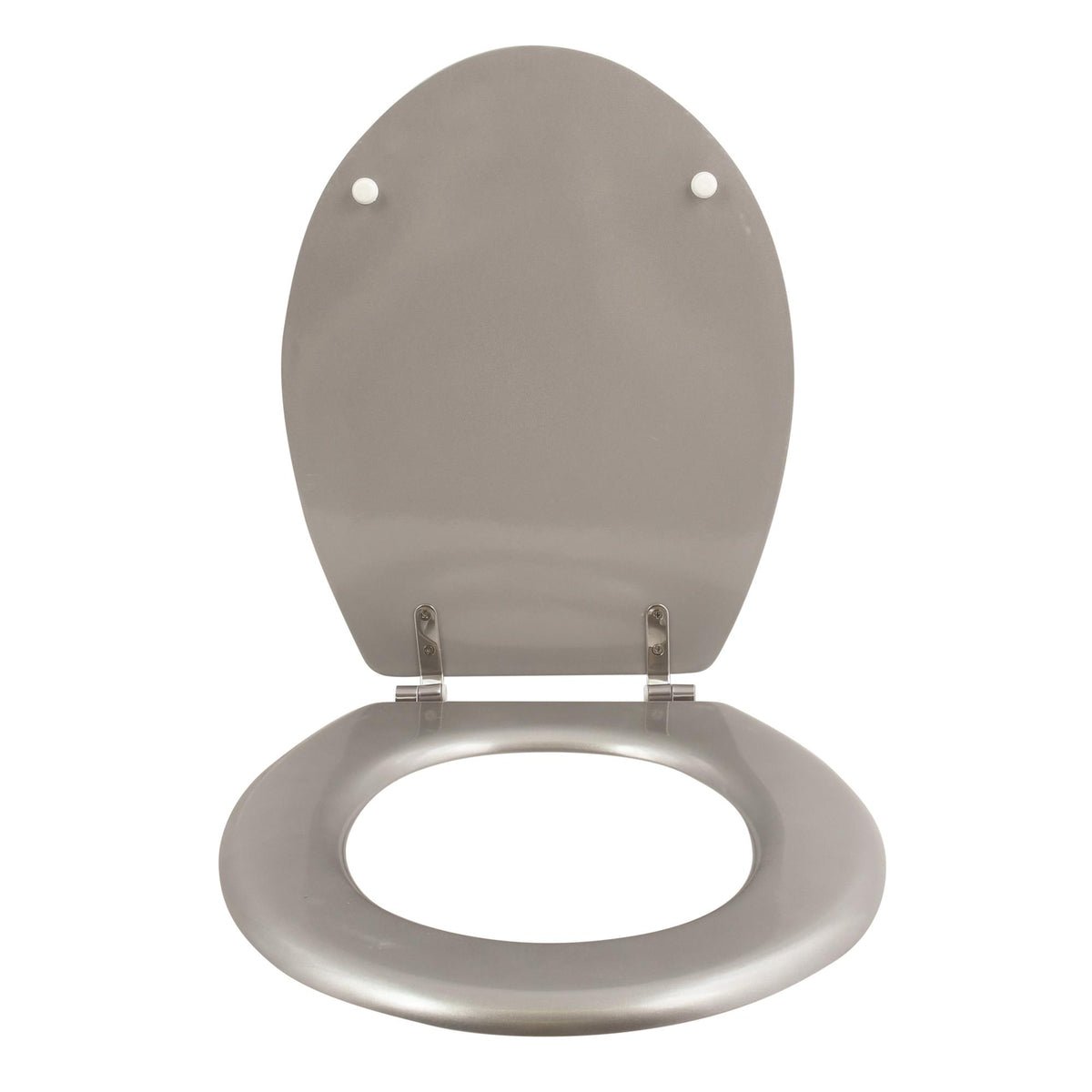 Asiento WC bisagras acero inoxidable plateado (5)