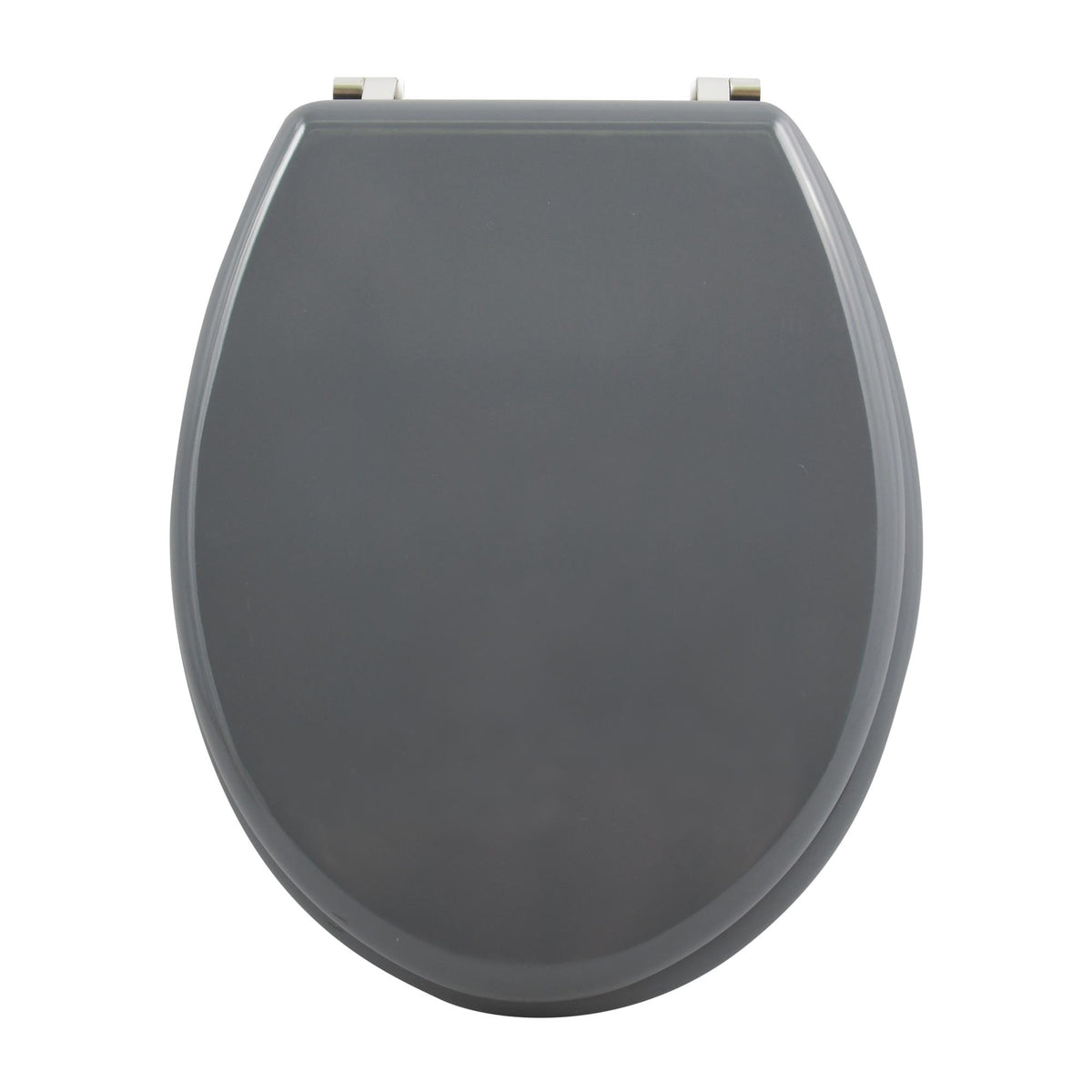 Asiento WC bisagras acero inoxidable gris oscuro