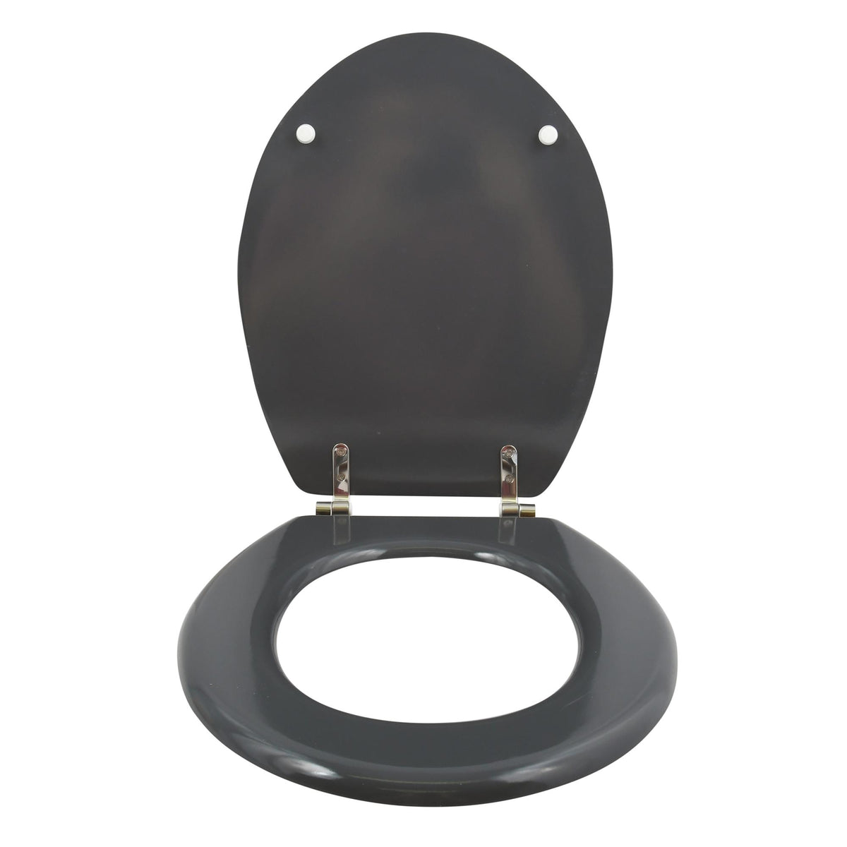 Asiento WC bisagras acero inoxidable gris oscuro (5)