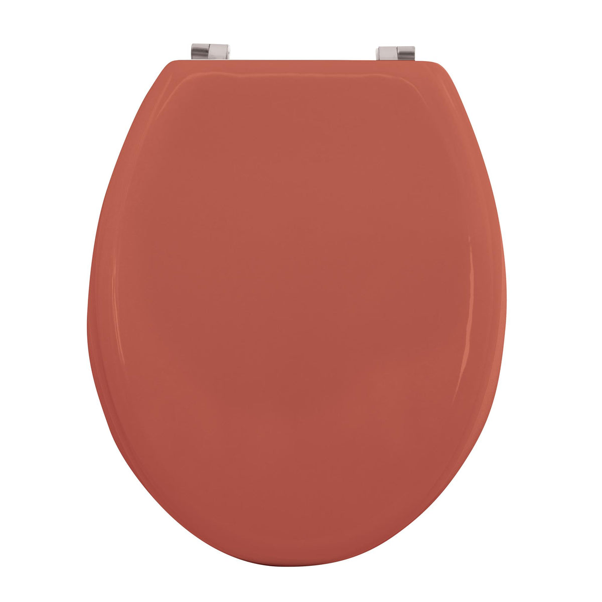 Asiento WC bisagras acero inoxidable terracota