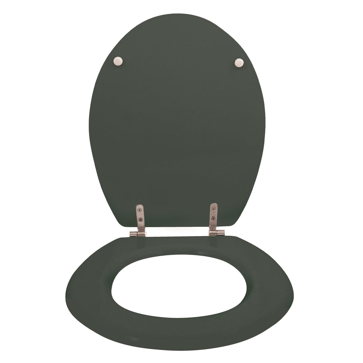 Asiento WC bisagras acero inoxidable verde oscuro (5)