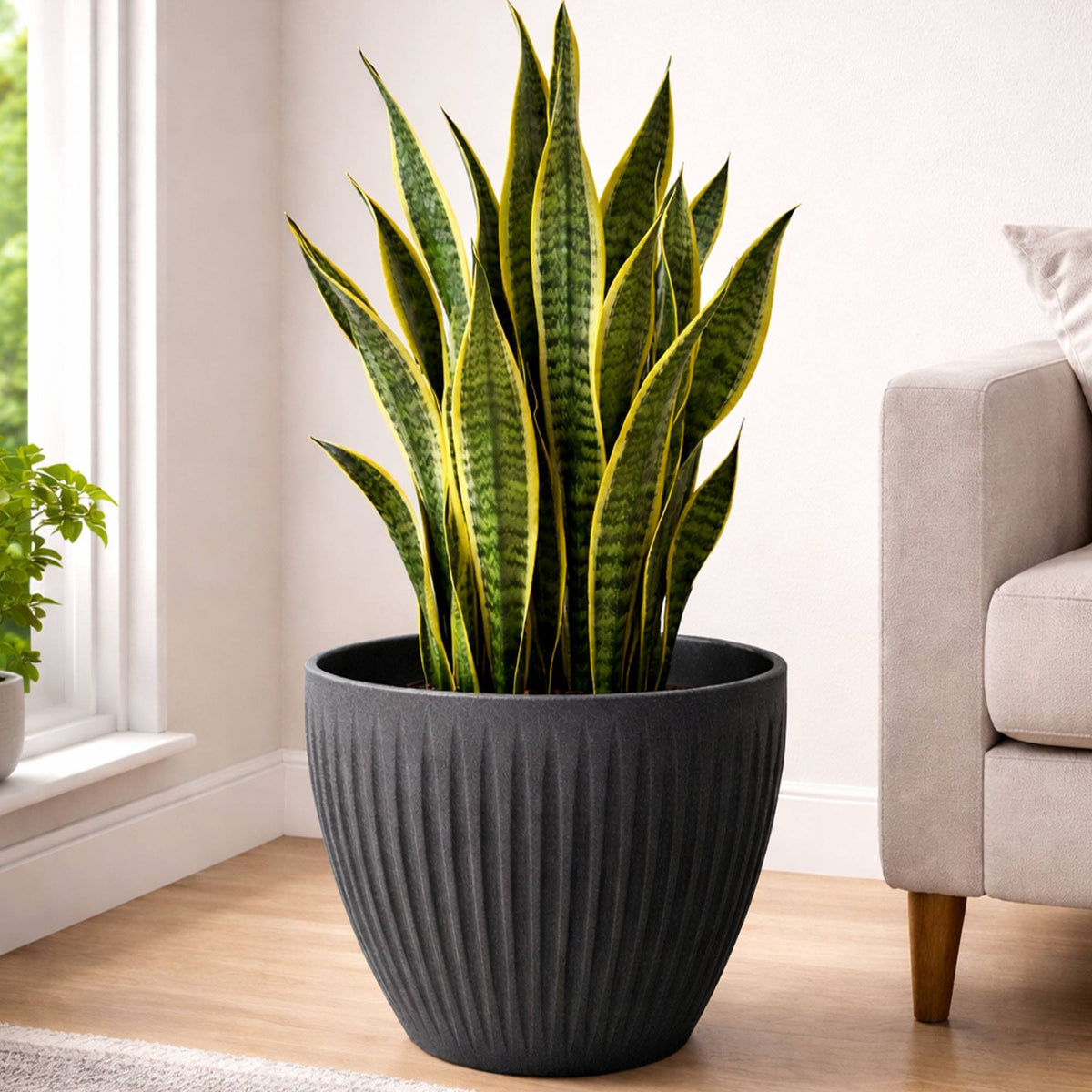 Maceta rotomoldeo redonda Latia Round Ø40x33 cm grafito granito (3)