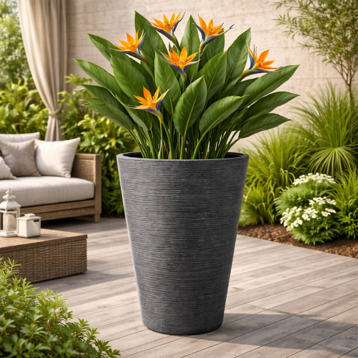 Maceta rotomoldeo redonda Tubra Round Ø60x70 cm negro granito (4)