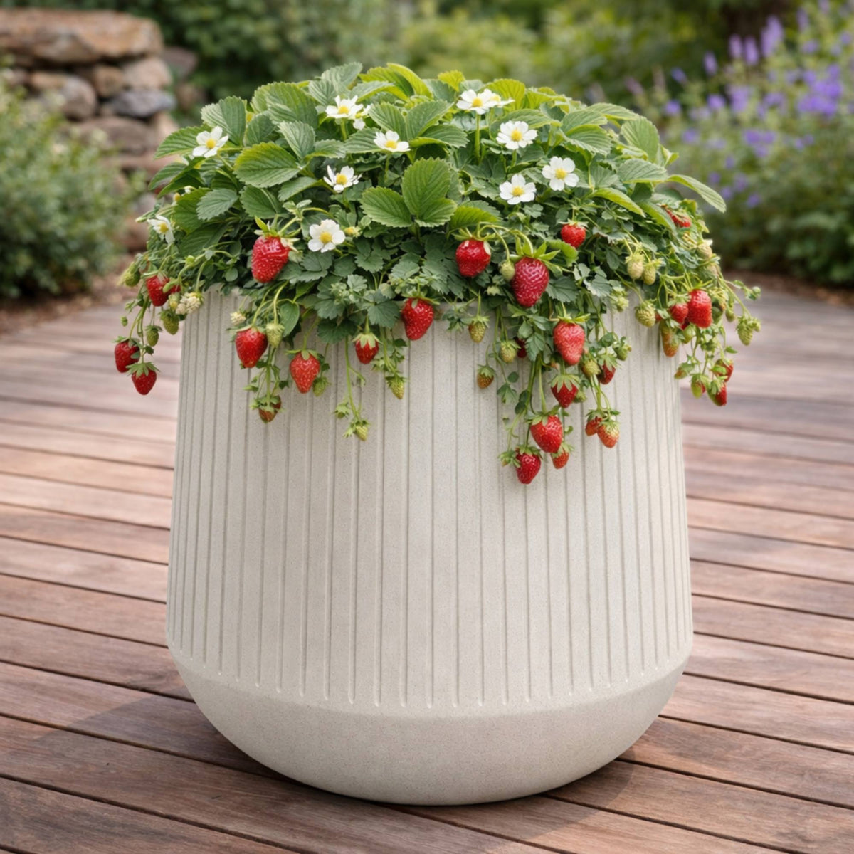Maceta rotomoldeo bowl alta arena Ø40x53 cm (3)